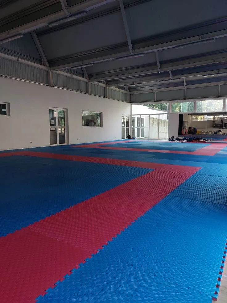 Kabaddi court flooring in Dehradun Uttarakhand by YNextGen Sports Infra with professional mat surface