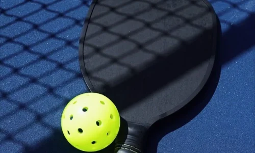 Professional outdoor pickleball court with acrylic surface and net system in India