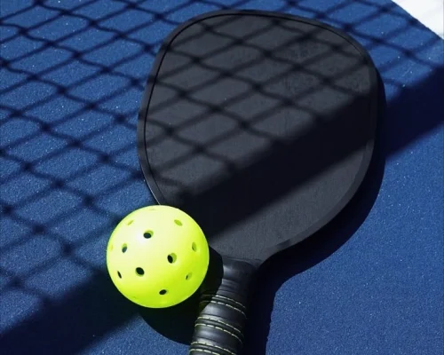 Professional outdoor pickleball court with acrylic surface and net system in India