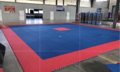 Kabaddi Court Construction in India – Indoor & Outdoor Installation | Y NextGen