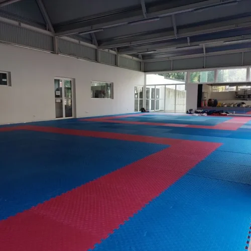 Kabaddi court flooring in Dehradun Uttarakhand by YNextGen Sports Infra with professional mat surface